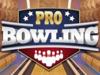 Pro Bowling 3D